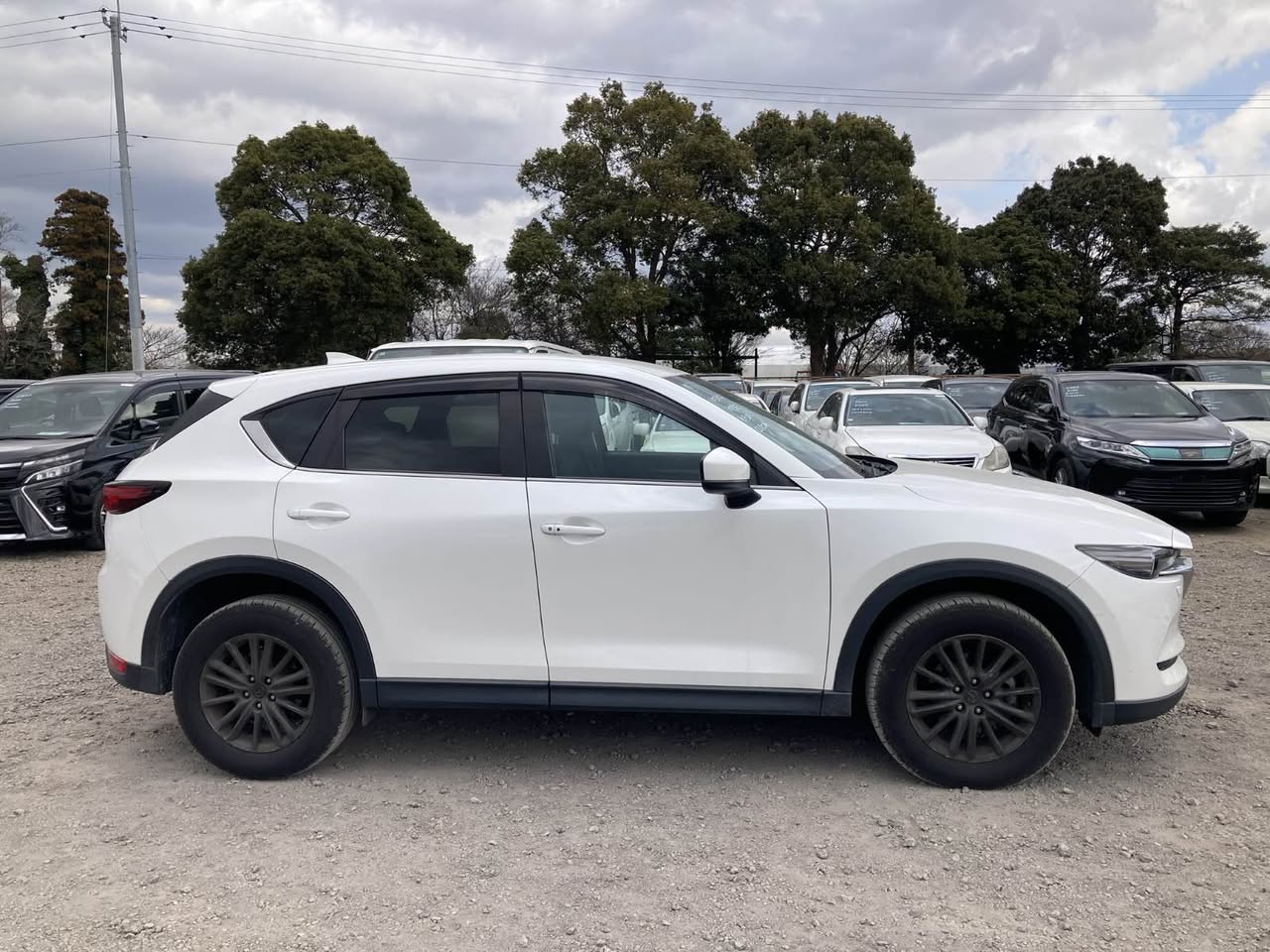 A picture of MAZDA CX 5
