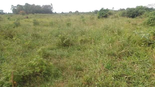 A picture of Masaka City