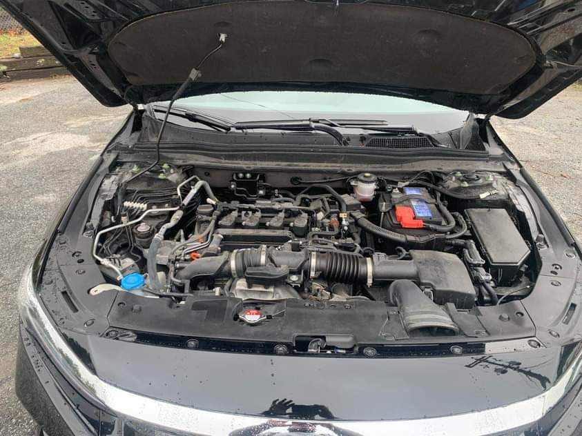honda accord
