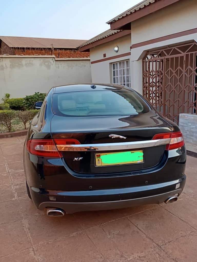 jaguar