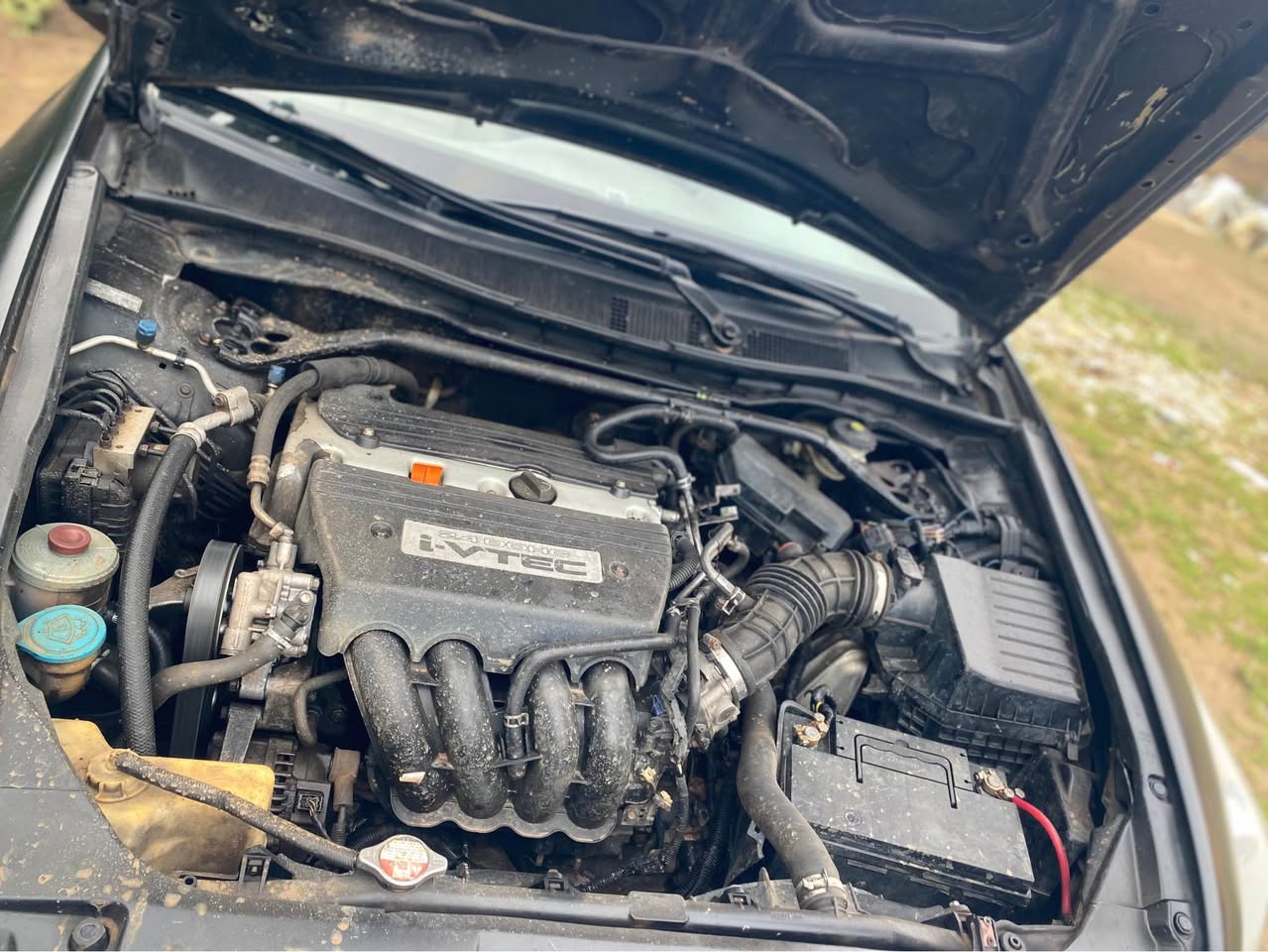 A picture of Honda accord 09