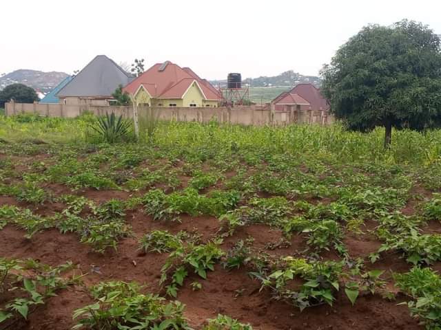 A picture of Mwanza Nyashishi kiwanja kinauzwa