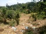 A picture of GHOROFA LINAUZWA