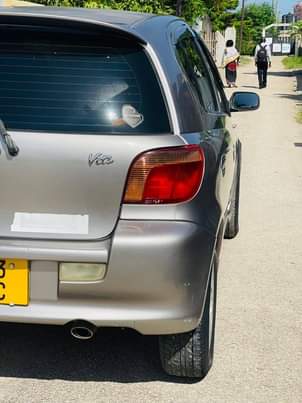 A picture of Vitz