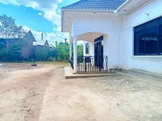 A picture of House