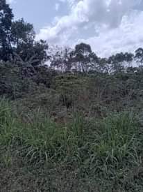 A picture of Land