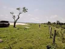 A picture of LAND