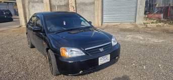 Junior M.