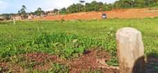 A picture of Plots on sale kawempe