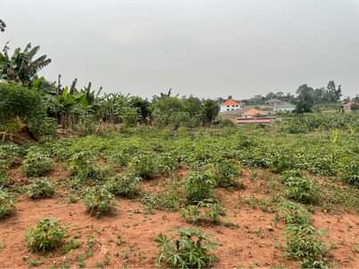 A picture of Plots for sale