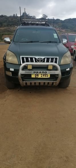 used toyota prado