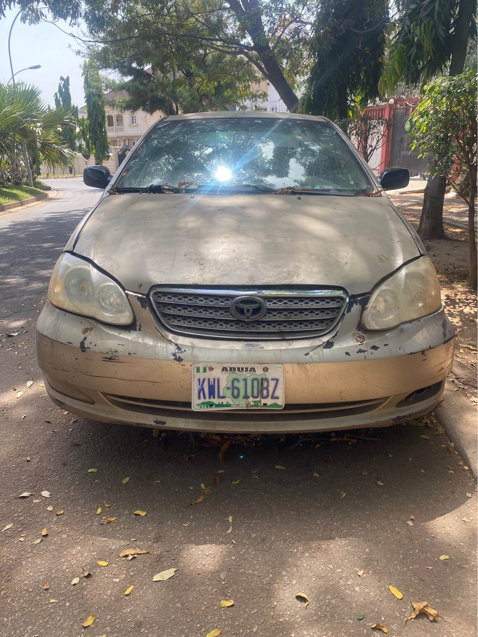 A picture of 07 Corolla