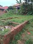 A picture of Plot for sale in kawanda 8 miles bombo road