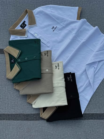 A picture of TSHIRT COTTON