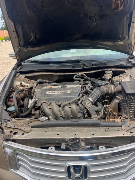 A picture of Awoof 2009 Honda Accord eagle spirit for sale