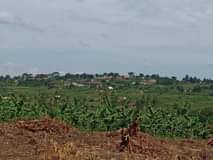 houses kawanda