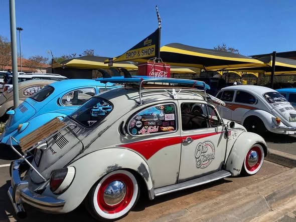 vw beetle