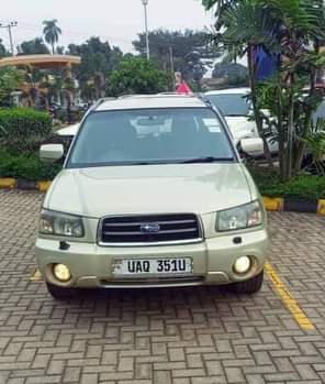 A picture of Subaru UAQ at 12m Wish UBF at 16m Subaru XT