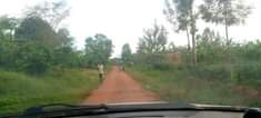 A picture of Matugga kigoogwa quick sale plot