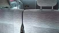 A picture of Ipsum