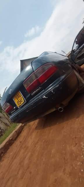 A picture of 4 4m 0705835212