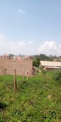 A picture of 0709106274 HOT PLOT ON QUICK SELL 50X100FT