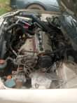 A picture of Baby boy perfect condition 630k owner