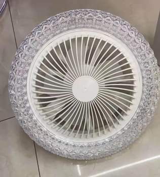 fans