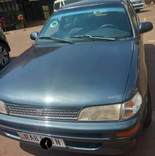 used toyota corolla