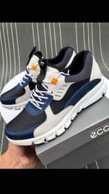 A picture of Shoes