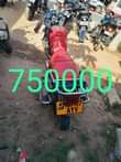 A picture of MALIZA MWAKA KIBINGWA