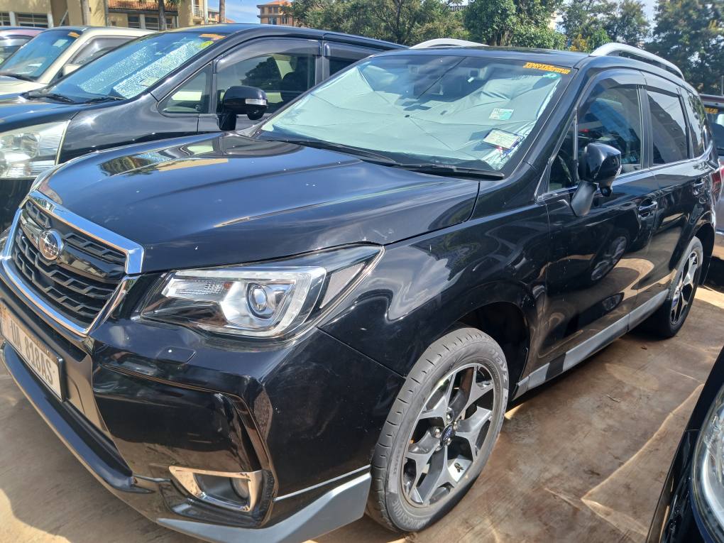 A picture of Subaru forster 2016