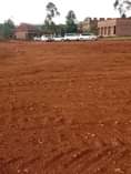 A picture of Kawempe Ttula plot on sale