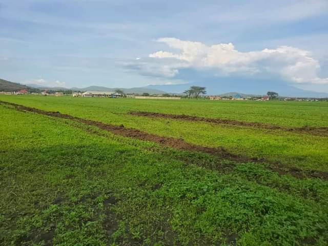 A picture of Karibu ujipatie kiwanja kwa bei poa kabisa Arusha na Moshi