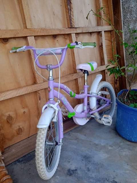 bicycle