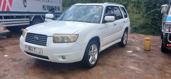A picture of Subaru Forester on sale at only 15 5m Ugx