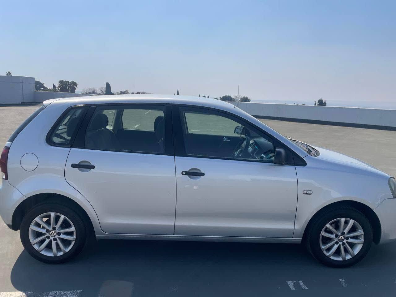 polo vivo