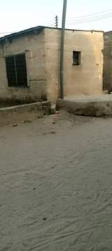 A picture of Banda