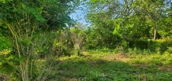 A picture of SHAMBA LA EKARI 20 LINAUZWA MBWEWE BAGAMOYO PWANI KWA MILIONI