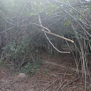 A picture of Kila heka ni 60 elfu