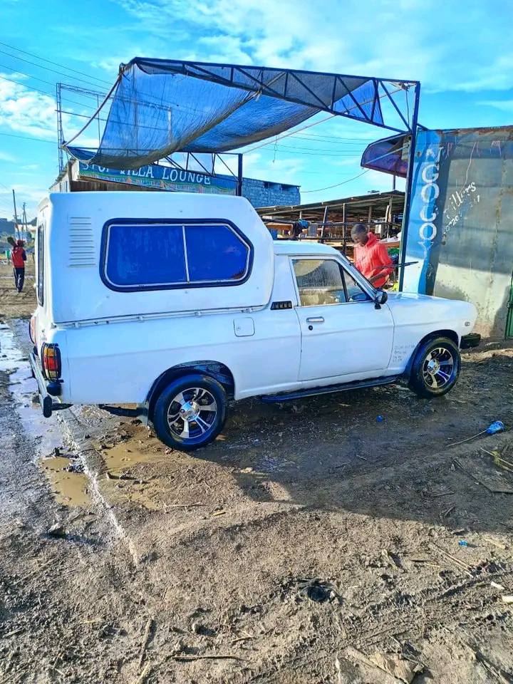 datsun