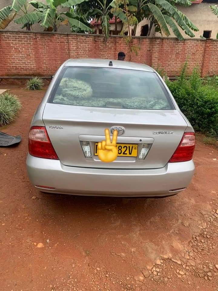 used toyota corolla