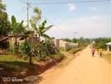 A picture of Nice plots on sale Location Matuga nasse Along semuto road