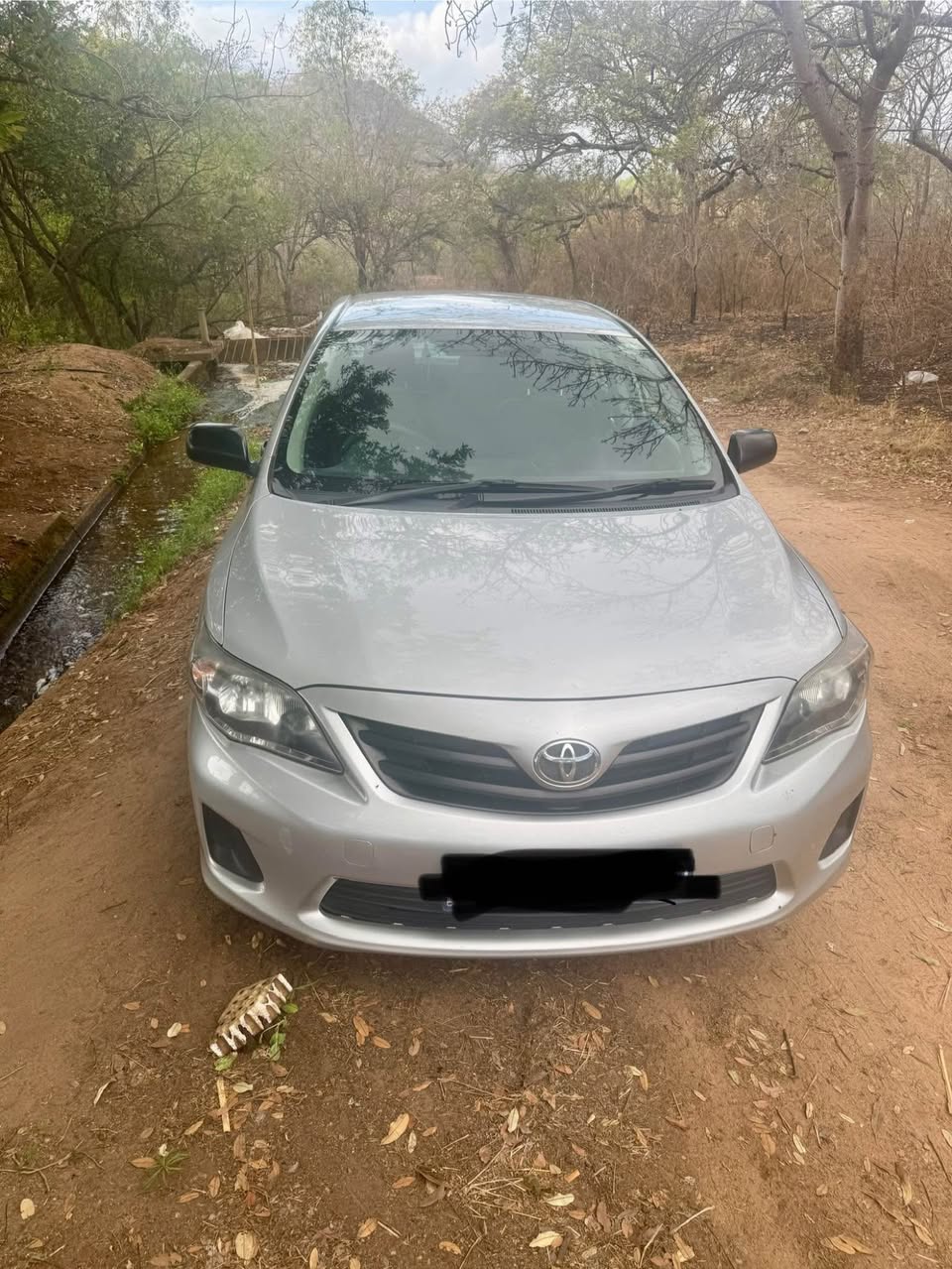 used toyota corolla