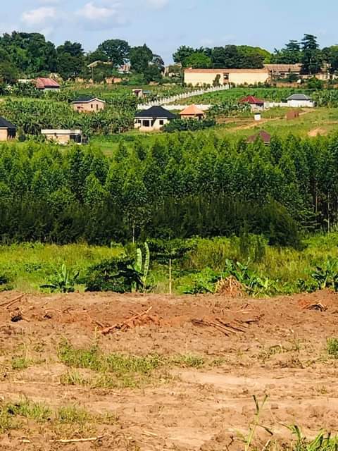A picture of Wakiso Mwera on tamac