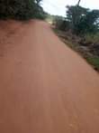 A picture of 3 fertile acres on sale at 37 5m with banana