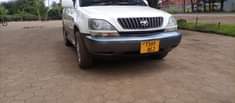A picture of harrier 0767410504