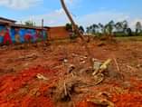 A picture of Brand New Estate Nansana Gganda plots start at 7m And