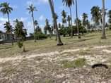 A picture of BAGAMOYO BEACH PLOT