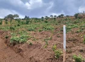 A picture of Matugga gombe Quick sale16.5m busubuzi price 16.5m money needed before